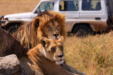 8 Days Kenya & Tanzania Budget Safari