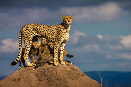 3-Day Masai Mara Safari
