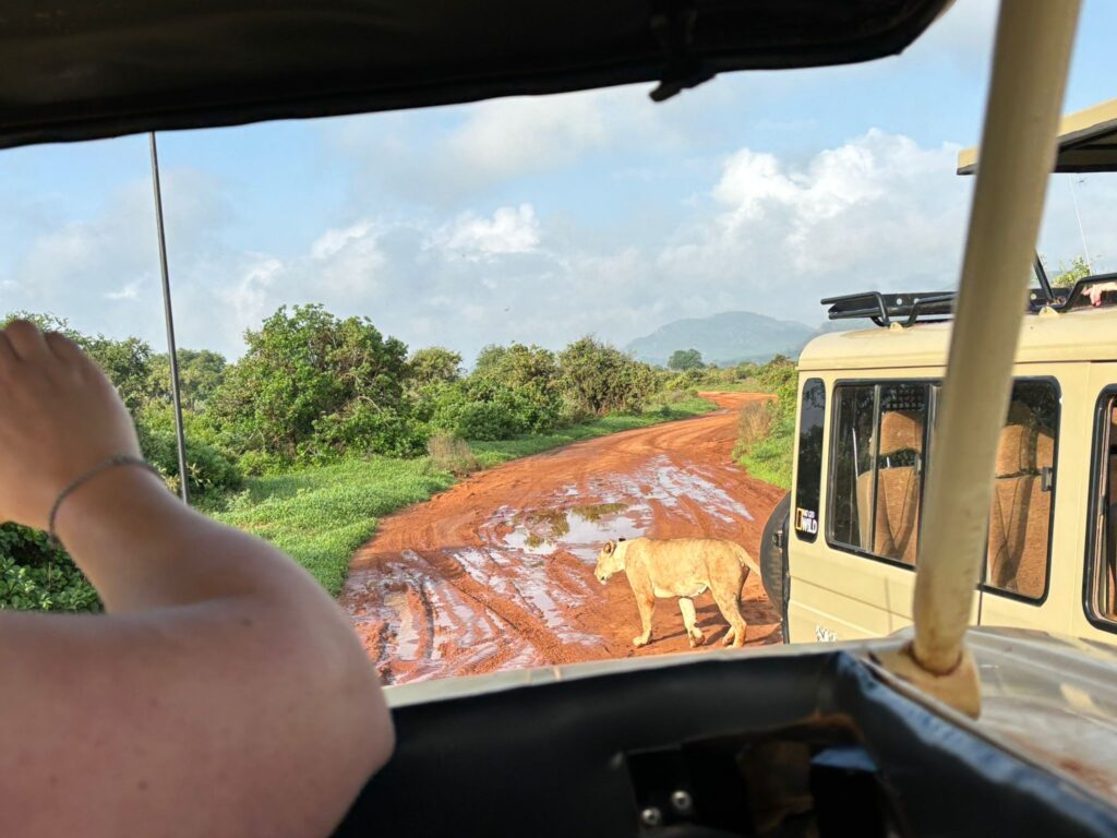 Elky 3 Days Tsavo East & Ziwani Game Sanctuary Safari