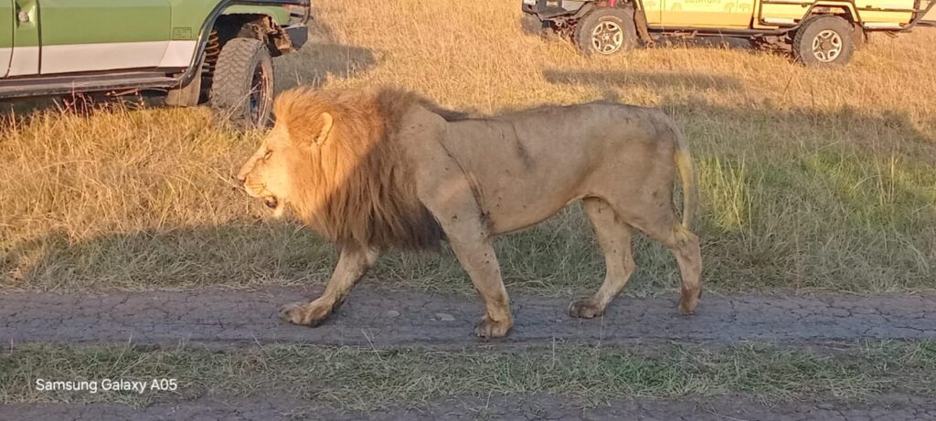 Elky 3 Days Tsavo East & Salt Lick / Taita Hills Safari