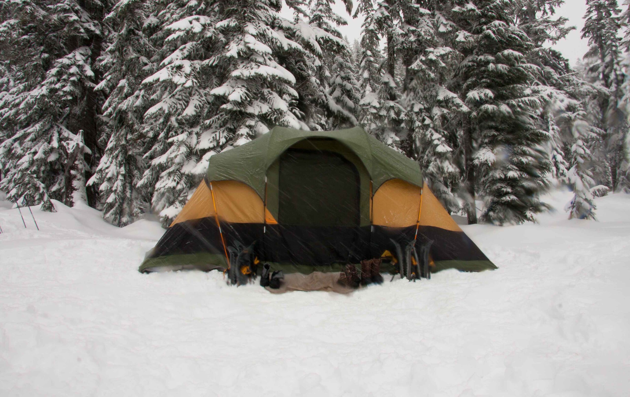 Lakeside Camping & Activity