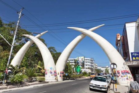 Full Day Mombasa City Tour & Haller Park