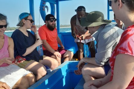 3-Hour Diani Beach Glass Bottom Boat Tour