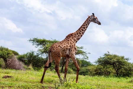 3-Day Safari: Nairobi – Amboseli – Tsavo East – Coastal Kenya