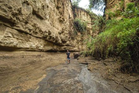 Hell’s Gate National Park & Lake Naivasha Day Tour